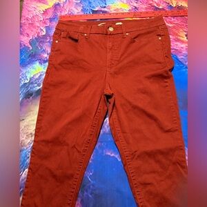 Seven7 Brick Red Stretch Pants